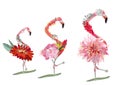 Colorful floral design with peonies, green palm leaves and flamingos.